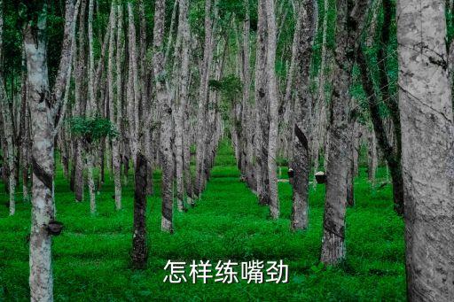 小號練嘴勁方法,學小號先要知道三要素