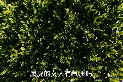 屬虎的女人有氣質嗎