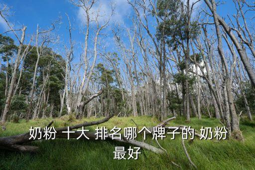 奶粉 十大 排名哪個牌子的 奶粉最好