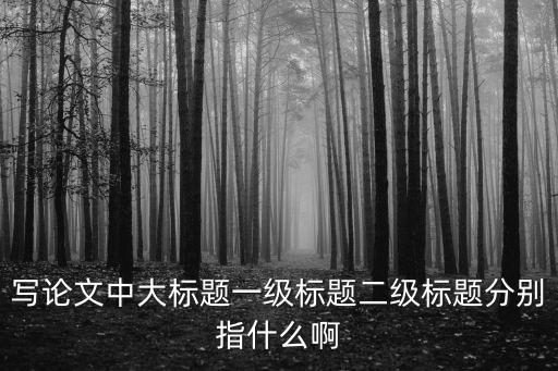 寫論文中大標題一級標題二級標題分別指什么啊