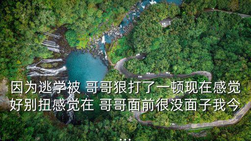 因為逃學被 哥哥狠打了一頓現在感覺好別扭感覺在 哥哥面前很沒面子我今...