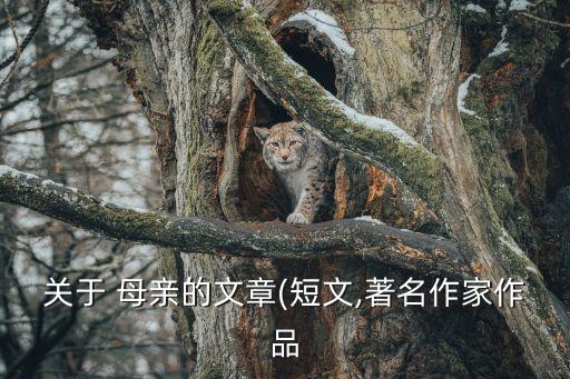 憶母親,第一名提名人物楊潔篪