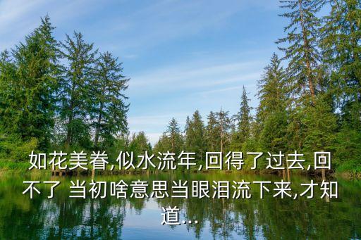 如花美眷,似水流年,回得了過去,回不了 當初啥意思當眼淚流下來,才知道...