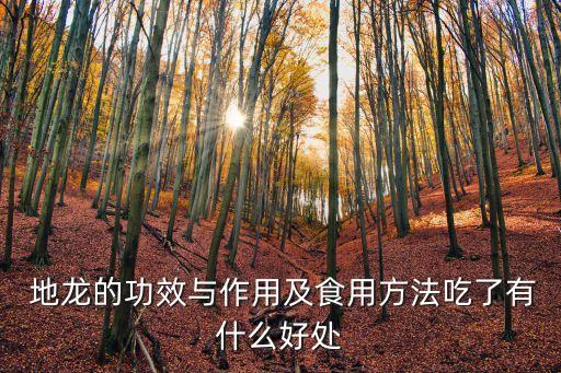 地龍的功效與作用,地龍與黃酒混合用文火炒至微干即可食用