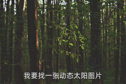 我要找一張動態太陽圖片