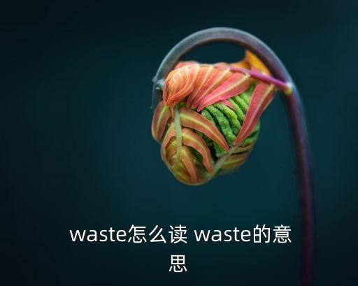  waste怎么讀 waste的意思