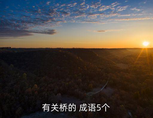 形容橋的成語,橋歸橋路歸路，你走你的陽光路我走我的獨木橋