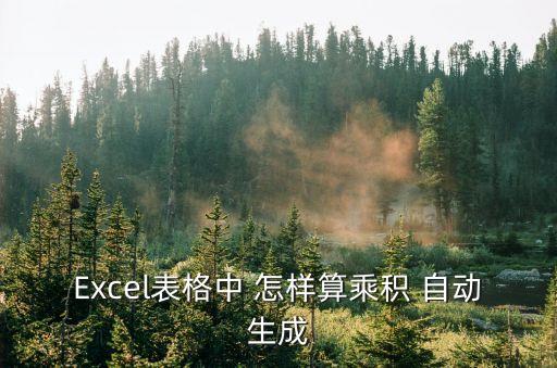 Excel表格中 怎樣算乘積 自動生成