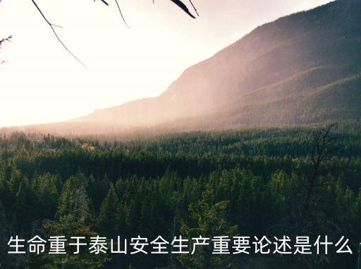 生命重于泰山安全生產(chǎn)重要論述是什么