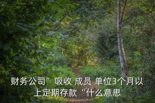 成員單位,一式兩份聯合體成員和投標人各一份