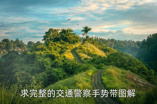 求完整的交通警察手勢帶圖解