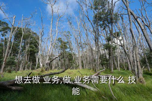想去做 業務,做 業務需要什么 技能