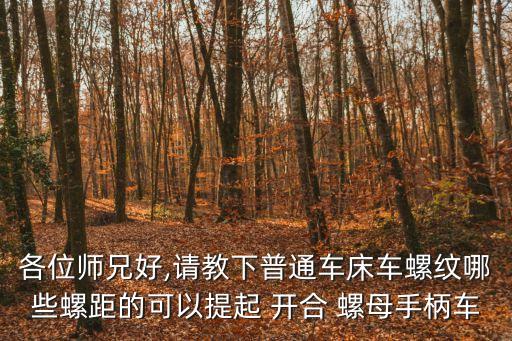各位師兄好,請教下普通車床車螺紋哪些螺距的可以提起 開合 螺母手柄車
