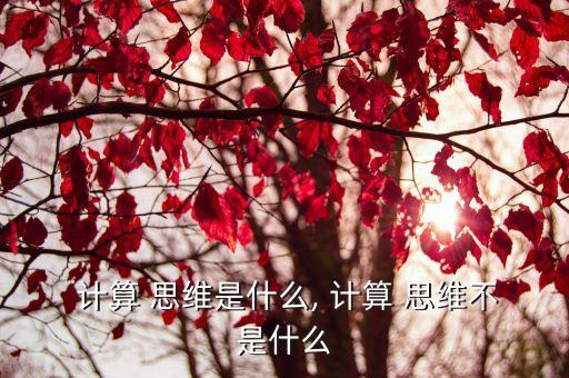 計算思維的本質(zhì),計算機也能有邏輯思維