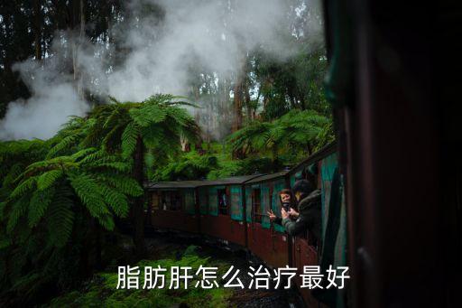 脂肪肝能治好嗎,脂肪肝怎么治?先去除誘因再動手術(shù)