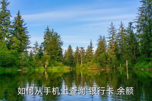 如何從手機上查詢 銀行卡 余額