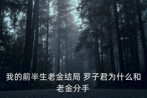 我的前半生老金，我的前半生老金結局 羅子君為什么和老金分手