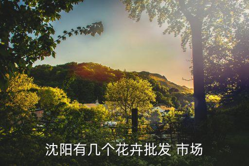 花市場,昆明花卉批發市場是全國切花心臟市場