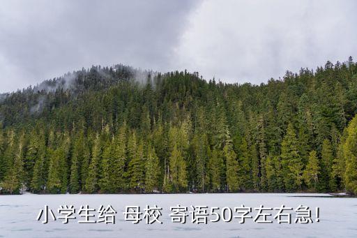 對母校的寄語,作為一名國大學生對母校的寫作思路