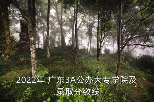 廣東3a學校,廣東省211工程學校第一批/廣東工業大學畢業
