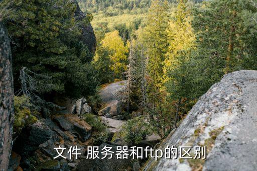  文件 服務器和ftp的區別