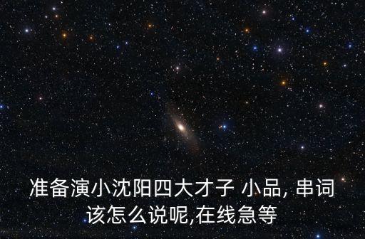準(zhǔn)備演小沈陽四大才子 小品, 串詞該怎么說呢,在線急等
