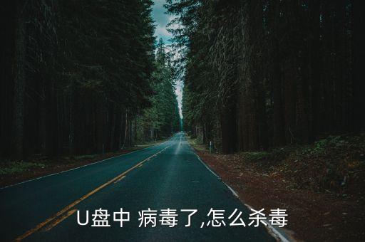 U盤中 病毒了,怎么殺毒