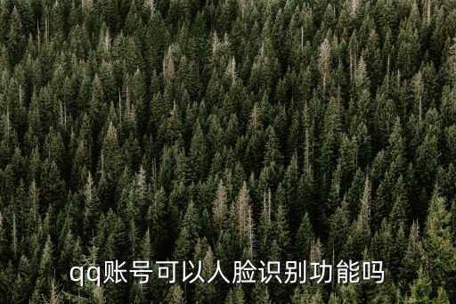 qq賬號可以人臉識別功能嗎