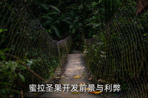  蜜拉圣果開發前景與利弊