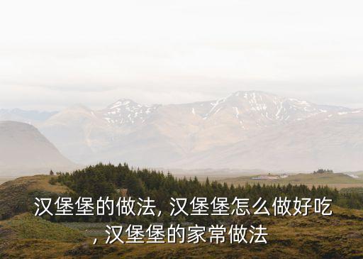  漢堡堡的做法, 漢堡堡怎么做好吃, 漢堡堡的家常做法