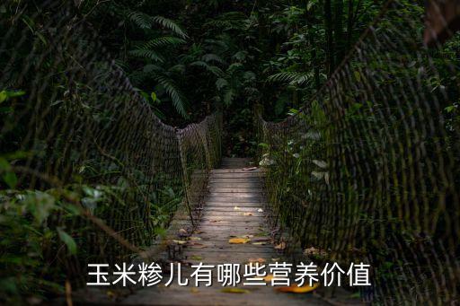 玉米糝兒有哪些營養價值