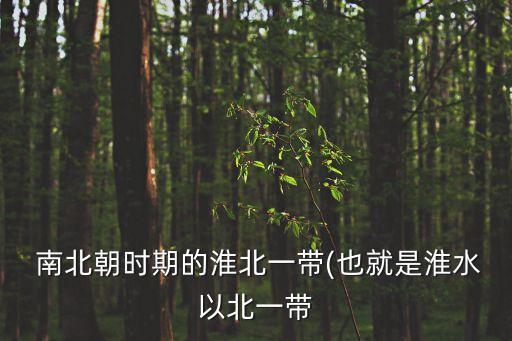南北朝地圖,南北朝時期政權分離更替頻繁民族融合蓬勃發展