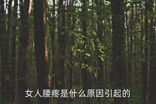 女人腰疼是什么原因引起的