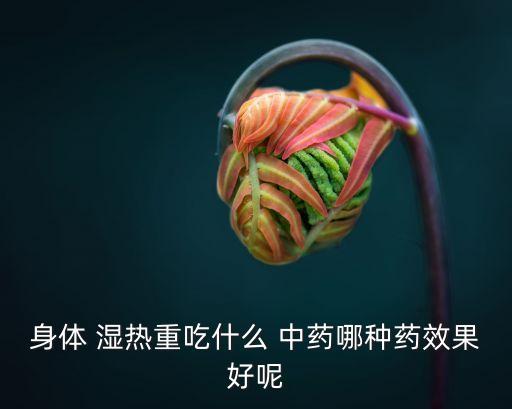 身體 濕熱重吃什么 中藥哪種藥效果好呢