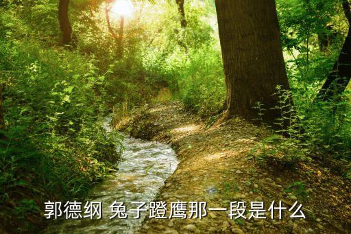 郭德綱 兔子蹬鷹那一段是什么