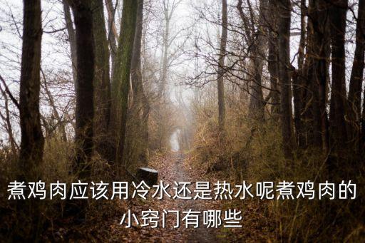 煮雞,秘制雞湯怎么做?