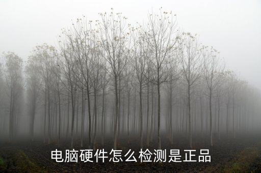 電腦硬件怎么檢測是正品