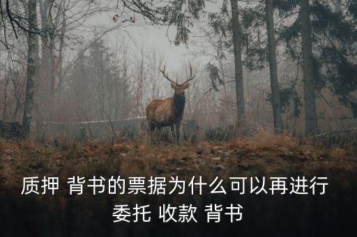 質押 背書的票據為什么可以再進行 委托 收款 背書