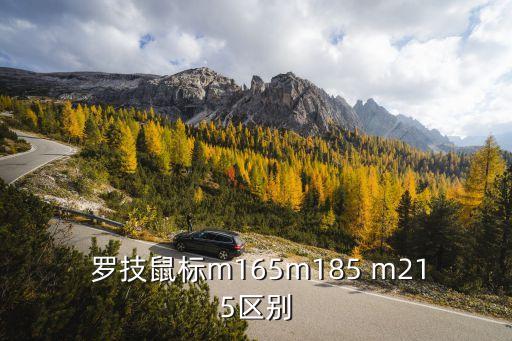 羅技m215,m1和m1m1最大信號傳輸距離為10m