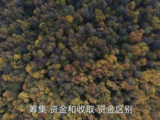 籌集資金,三大方向:向金融機構籌集資金