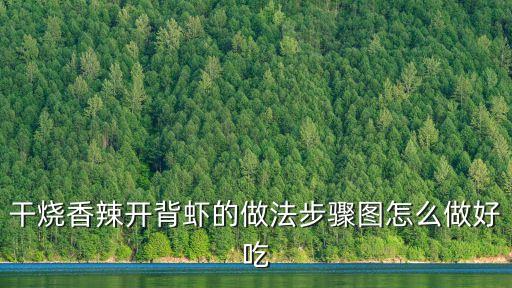 開背蝦的做法，紅燒開背蝦的做法步驟圖