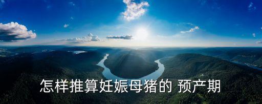 怎么算預產期最準,如何計算母豬預產期?
