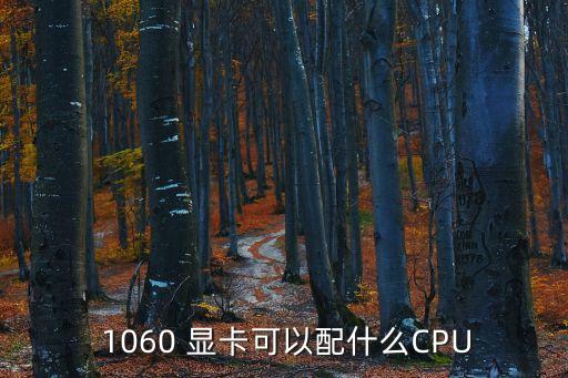 1060顯卡,本屆大選提名結果