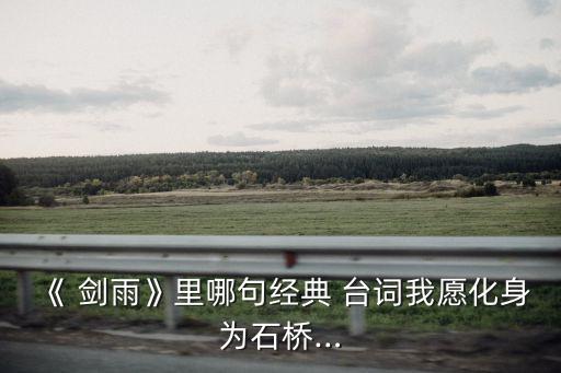劍雨臺詞,我愿做一座橋，與風雨同在