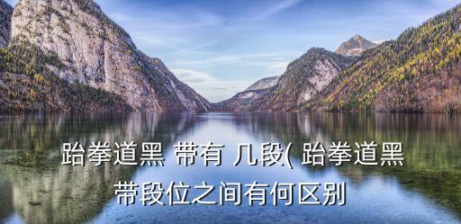 跆拳道黑帶有幾段,12月最高跆拳道黑帶劃分高低