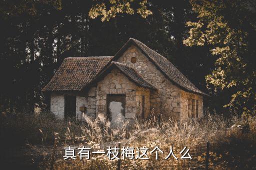 劇盜,李俊基出演電視臺新劇《一顆桃子》飾演朝鮮強盜