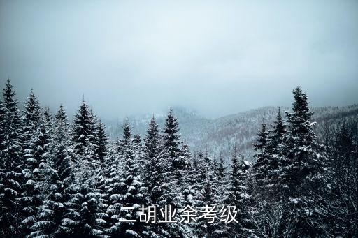 二胡業余考級