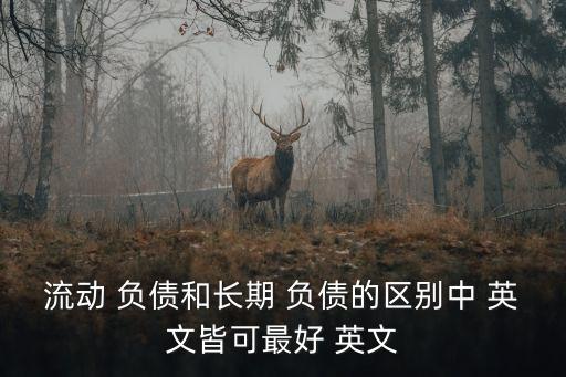 負債英文,公司會計分錄:長期負債到期日在一年以上的債務