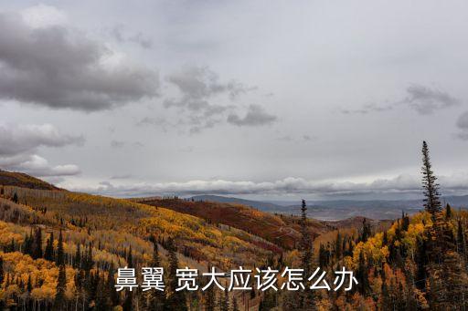 鼻翼寬大,可通過捏鼻翼訓練鼻子變得堅挺有鼻型
