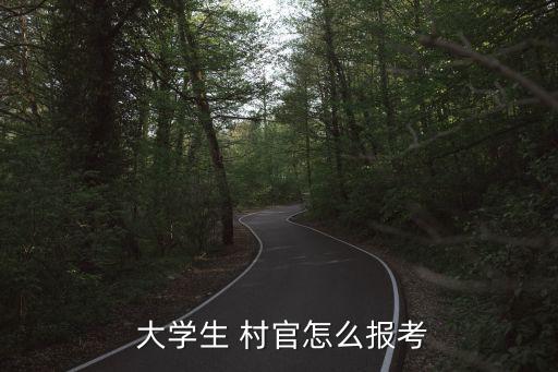 大學生村官,選調生工作與-1村官融合有兩種方式報名
